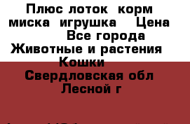 Плюс лоток, корм, миска, игрушка. › Цена ­ 50 - Все города Животные и растения » Кошки   . Свердловская обл.,Лесной г.